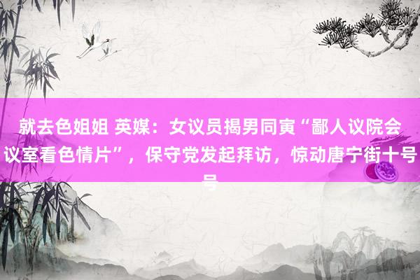 就去色姐姐 英媒：女议员揭男同寅“鄙人议院会议室看色情片”，保守党发起拜访，惊动唐宁街十号