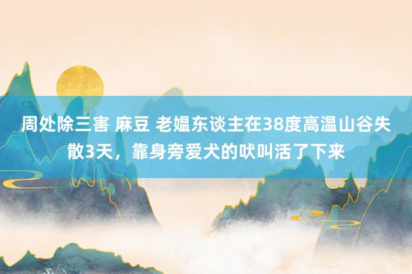 周处除三害 麻豆 老媪东谈主在38度高温山谷失散3天，靠身旁爱犬的吠叫活了下来