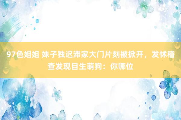 97色姐姐 妹子独迟滞家大门片刻被掀开，发怵稽查发现目生萌狗：你哪位