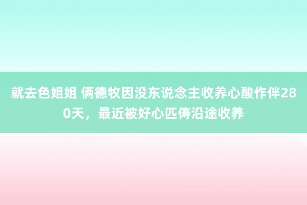 就去色姐姐 俩德牧因没东说念主收养心酸作伴280天，最近被好心匹俦沿途收养
