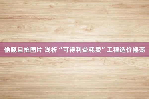 偷窥自拍图片 浅析“可得利益耗费”工程造价摇荡