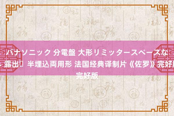 パナソニック 分電盤 大形リミッタースペースなし 露出・半埋込両用形 法国经典译制片《佐罗》完好版