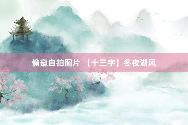 偷窥自拍图片 【十三字】冬夜湖风