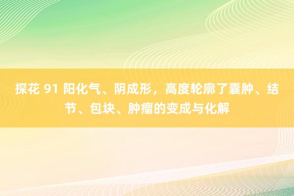 探花 91 阳化气、阴成形，高度轮廓了囊肿、结节、包块、肿瘤的变成与化解