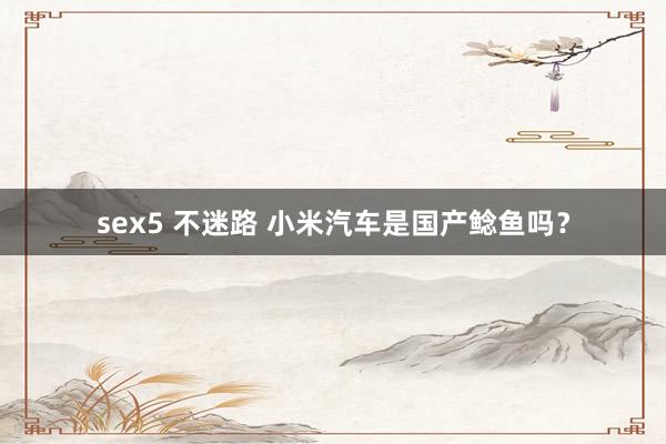 sex5 不迷路 小米汽车是国产鲶鱼吗？