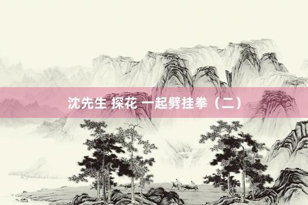 沈先生 探花 一起劈挂拳（二）