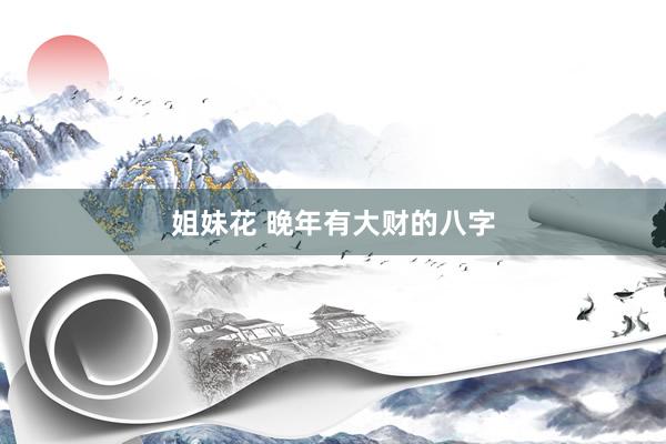 姐妹花 晚年有大财的八字